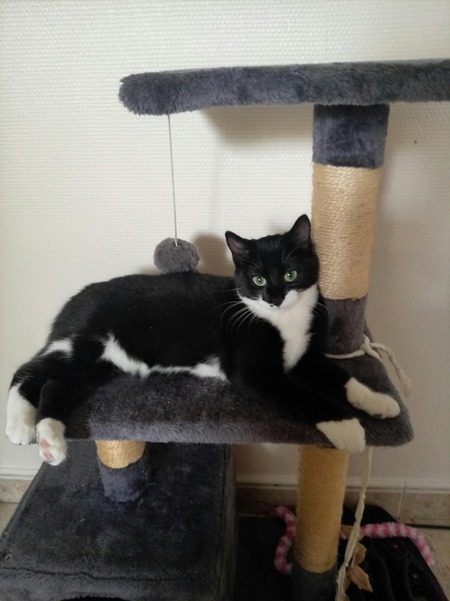 Adopter Becky