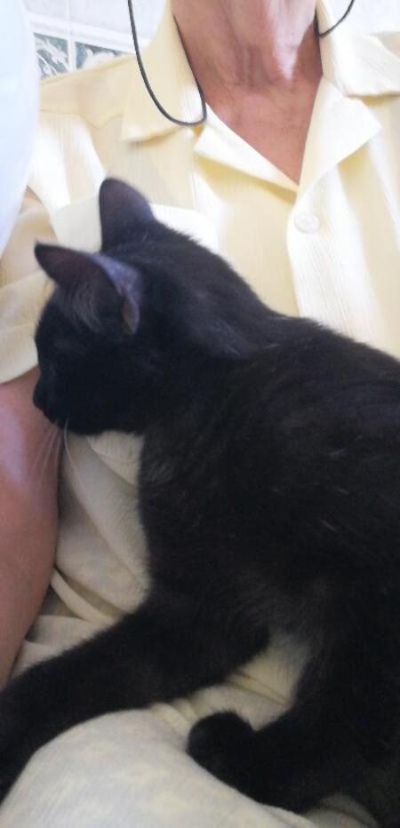Adopter Mercure