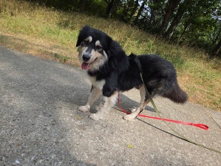 Adopter Nyssen