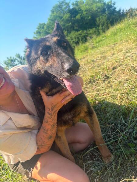 Adopter Liv