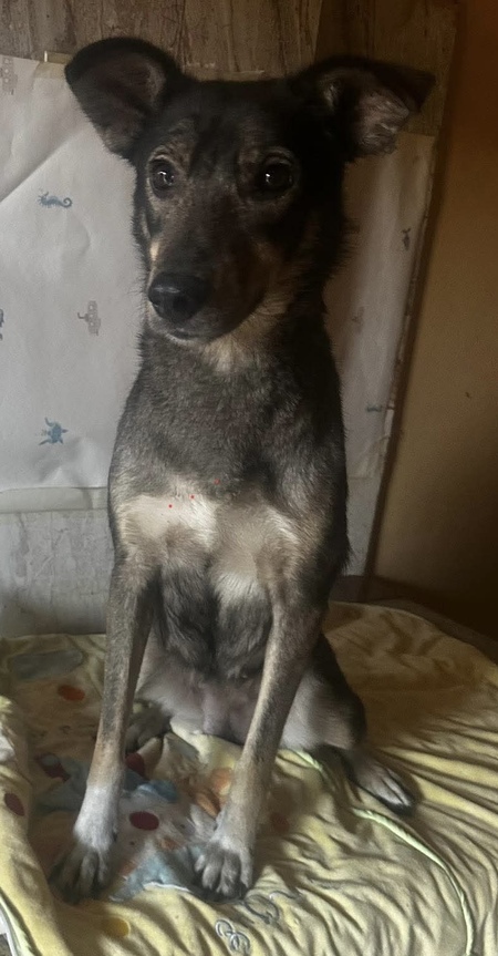 Adopter Aïna