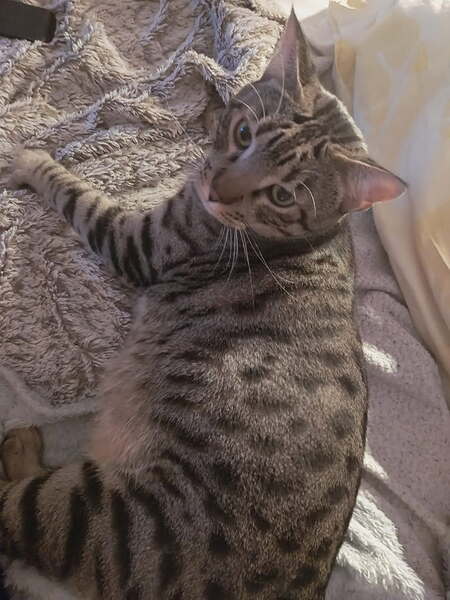 Adopter Peper et Salt