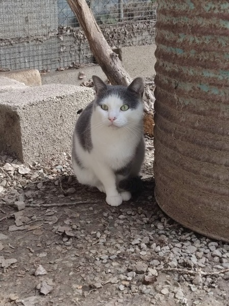 Adopter Nuage