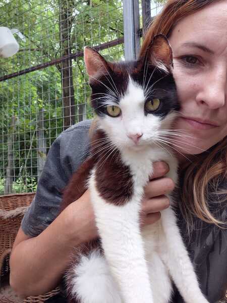 Adopter Pimousse