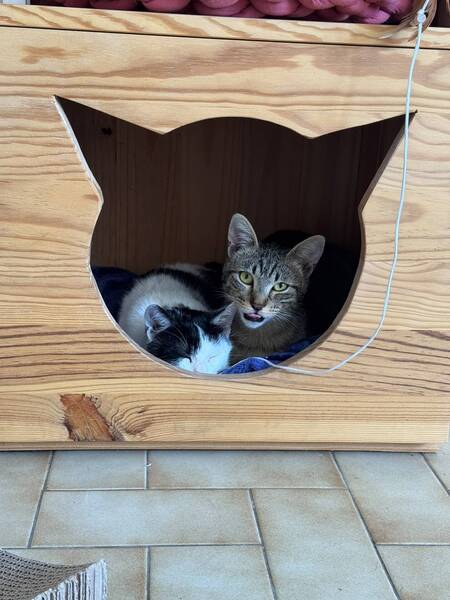 Adopter Street