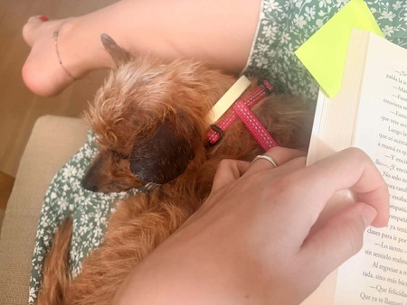 Adopter Cosima