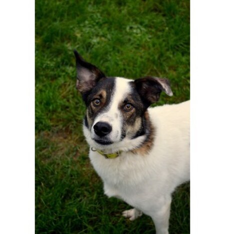 Adopter Gucci