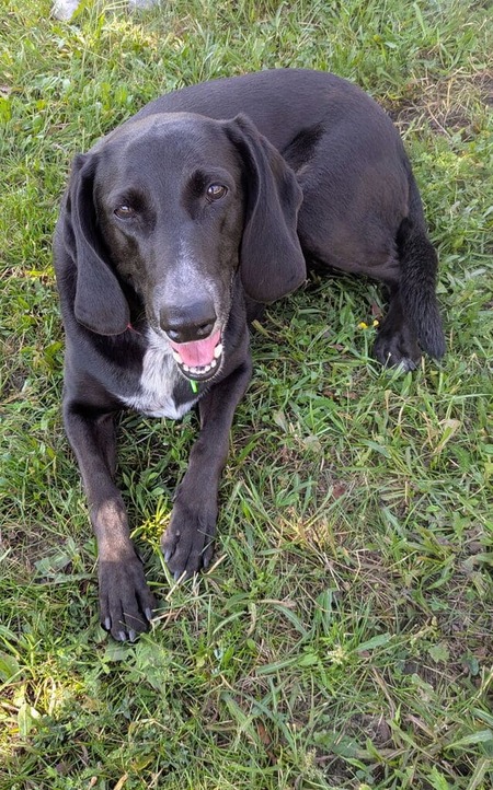 Adopter Kiara
