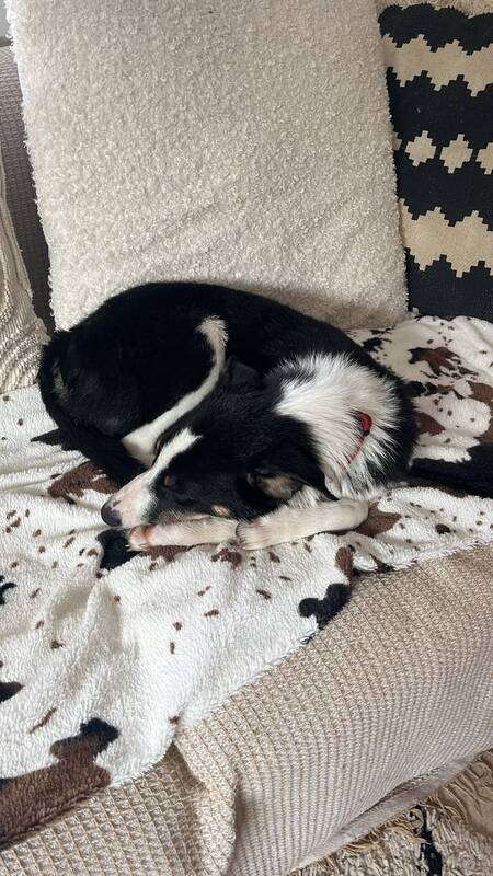 Adopter Zigzag