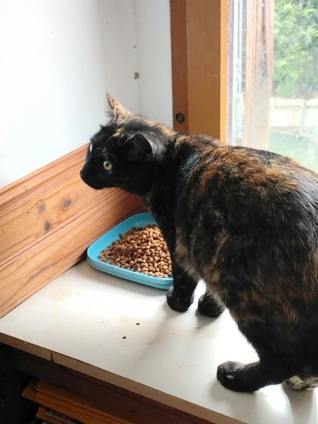 Adopter Beauté