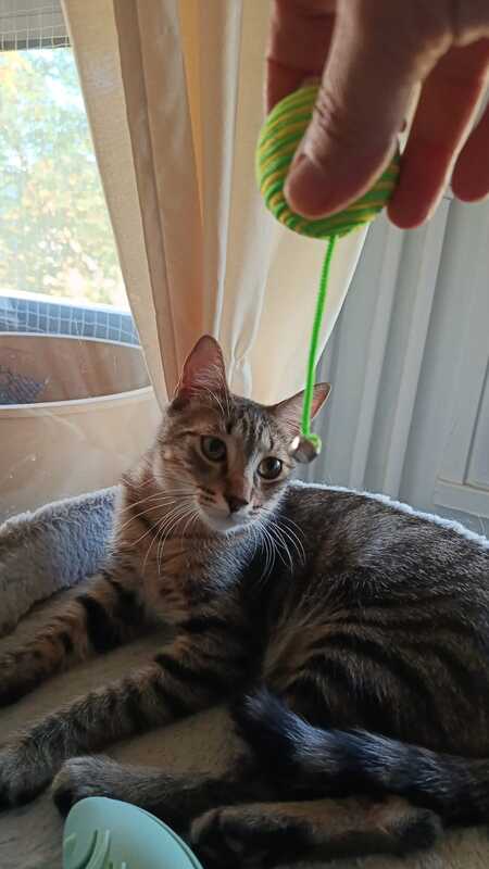 Adopter Léo