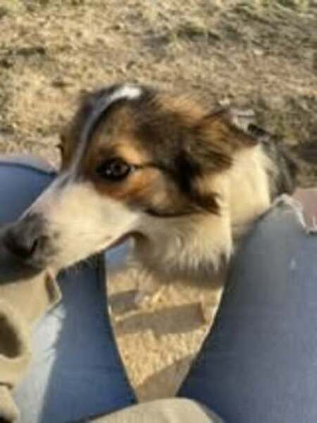 Adopter Tiya