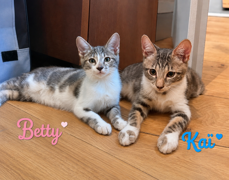 Adopter Betty et kaï