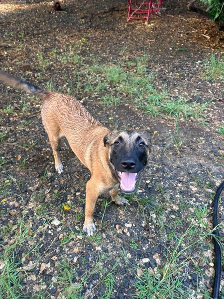 Adopter Soleya