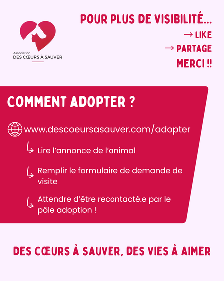 Adopter Zaho