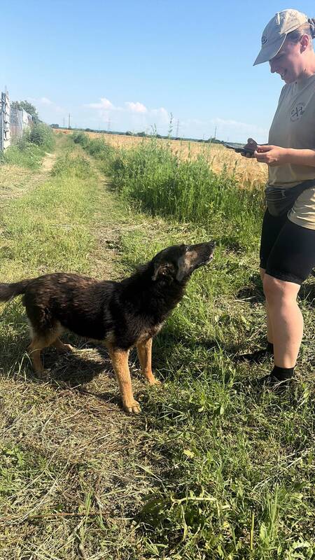 Adopter Liv