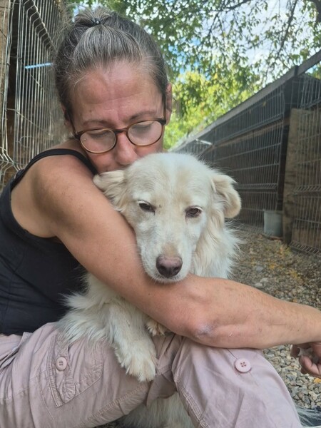 Adopter Alba