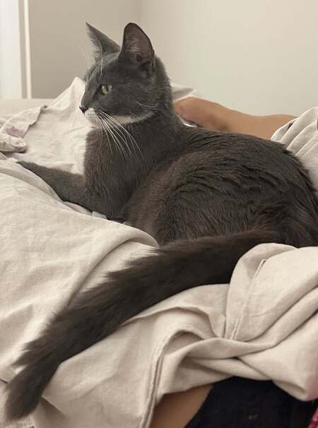Adopter Beryl