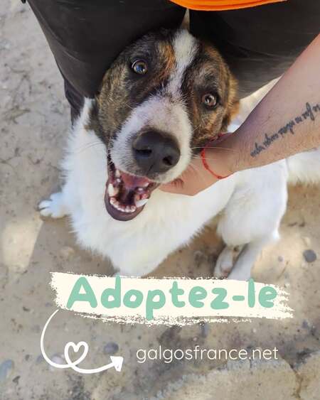Adopter Dany