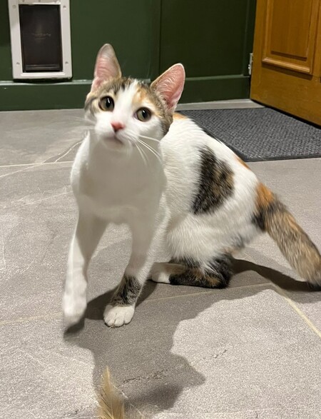 Adopter Sabrina