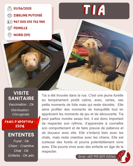Adopter Tia