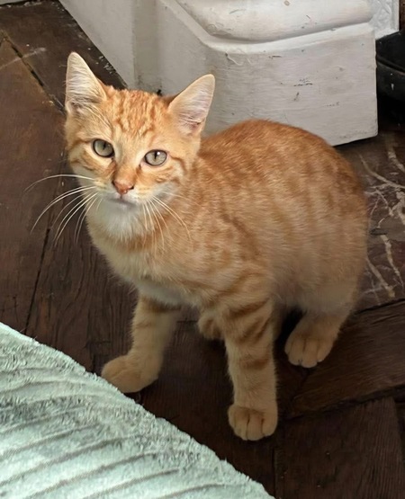 Adopter Sahel 