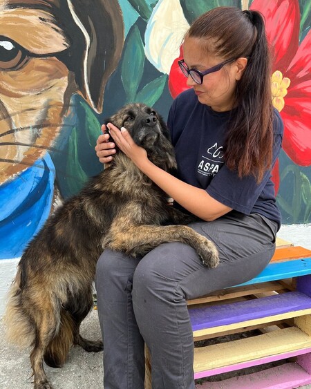 Adopter Sundy