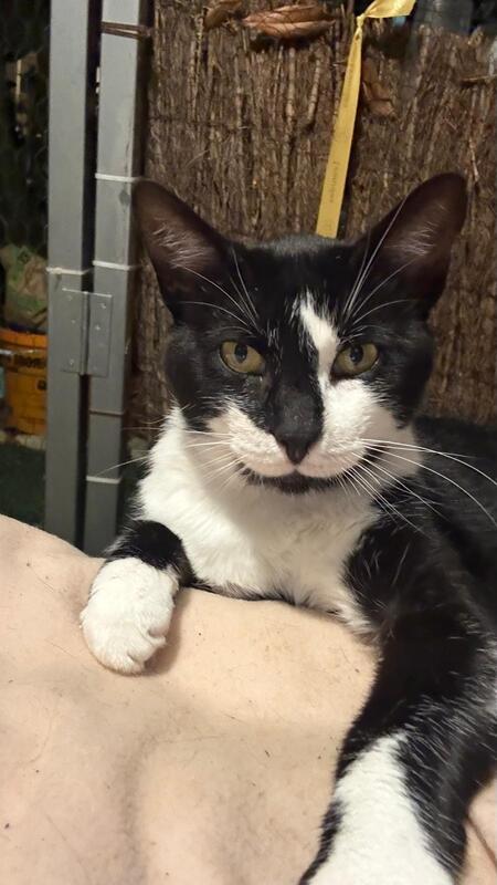 Adopter Bouty