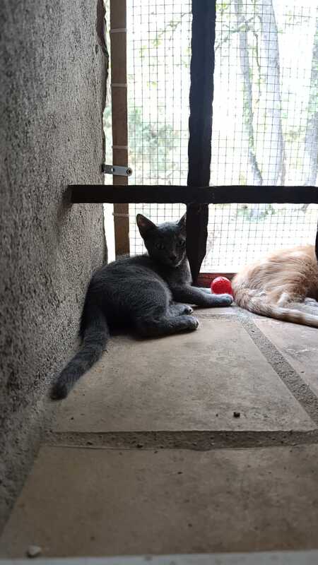 Adopter IO et PHOBOS