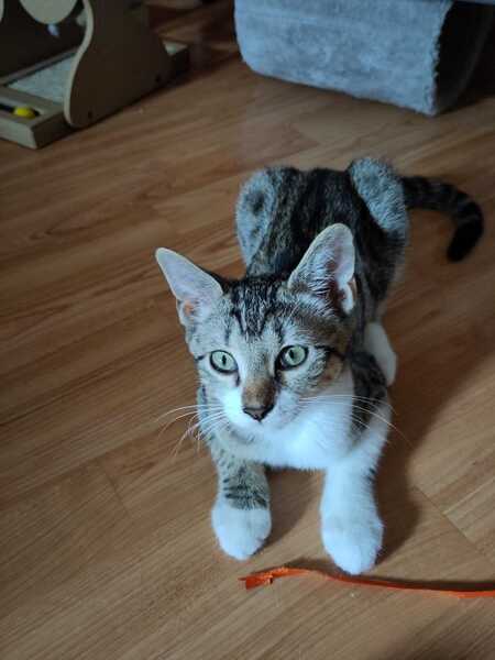 Adopter Marie