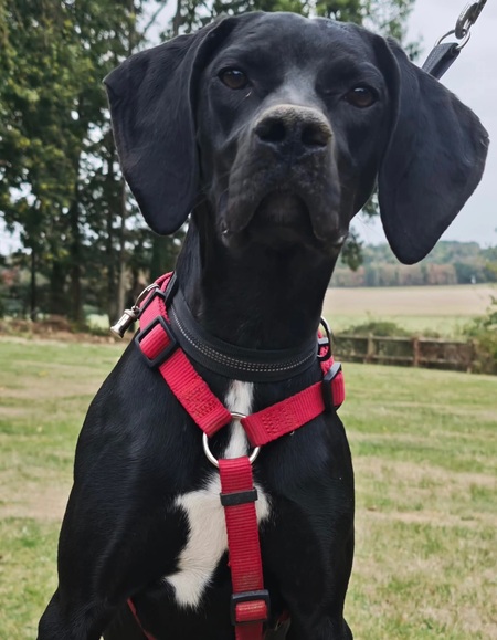 Adopter Mabelle