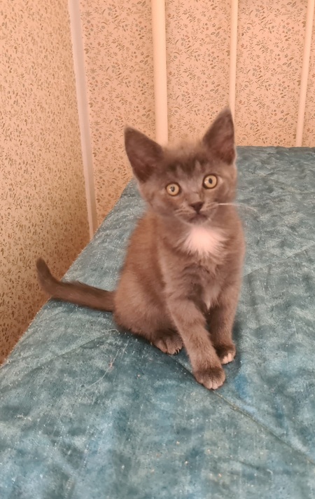 Adopter Maryse