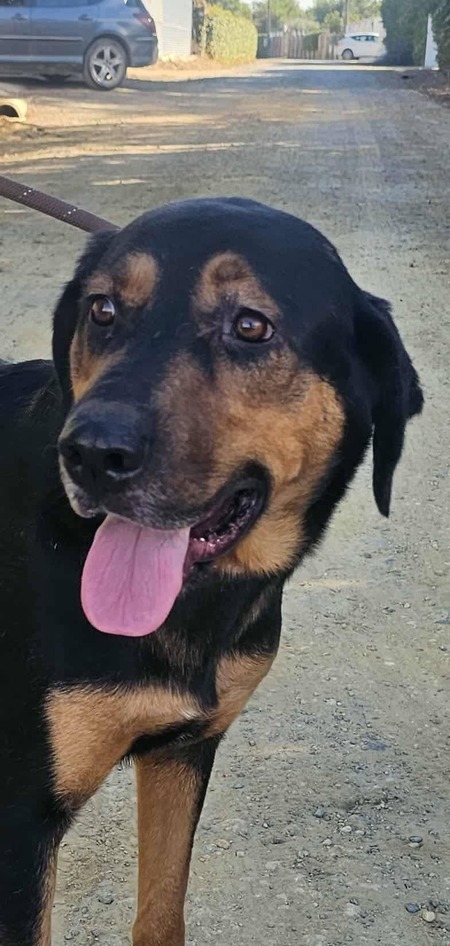 Adopter Ugo