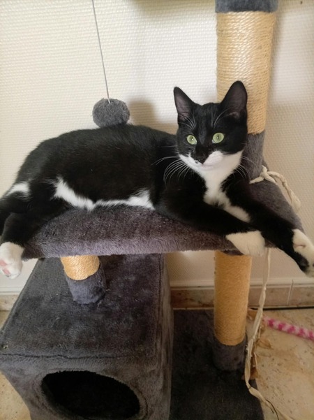 Adopter Becky