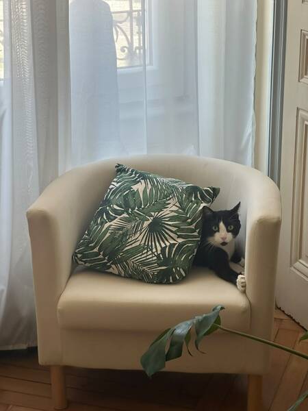 Adopter Marius