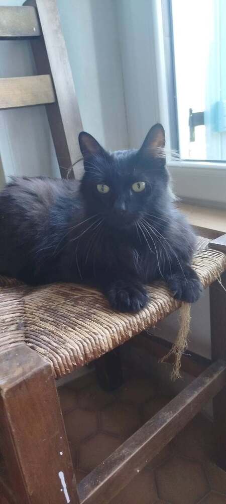 Adopter CHIQUITA