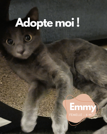 Adopter Emmy