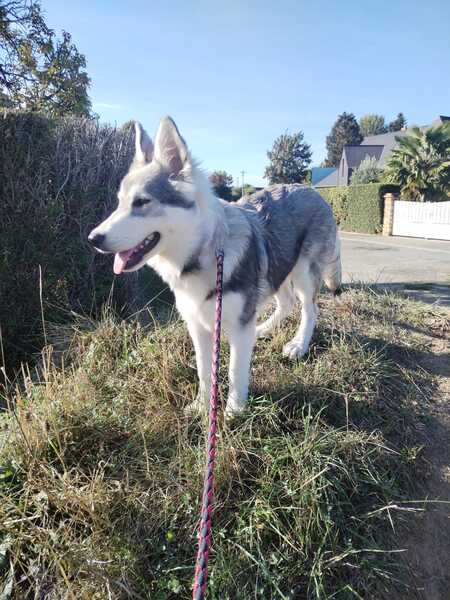 Adopter Bella