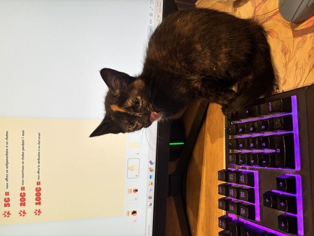 Adopter Bonnie