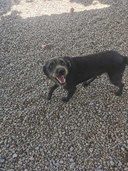 Adopter REMBO