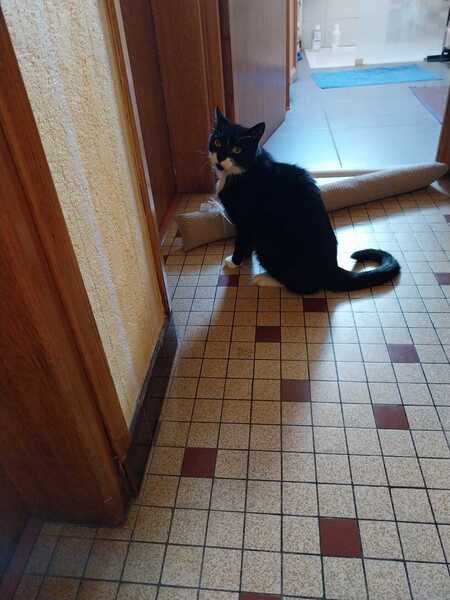 Adopter TITOUAN 