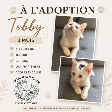 Adopter Tobby