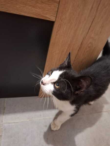 Adopter Jacqueline
