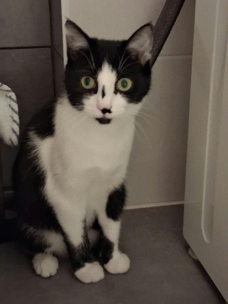 Adopter Bobine 
