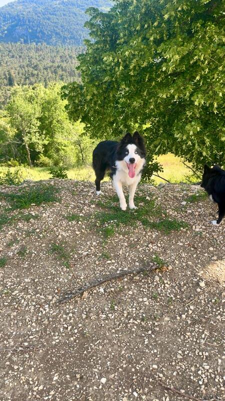Adopter TEX