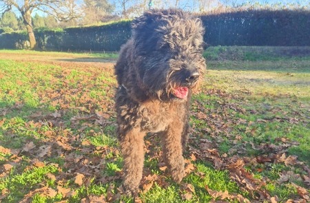 Adopter Liouba