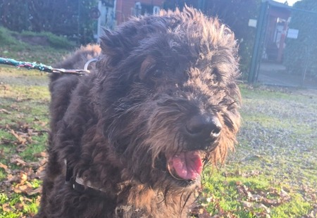 Adopter Liouba