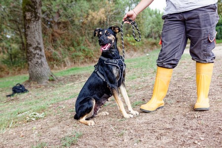 Adopter Ella