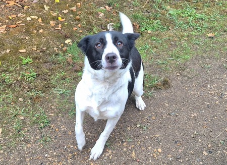 Adopter Olympe