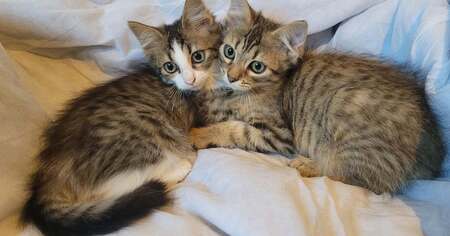 Birdie & Balthazar